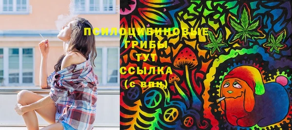 СК Козловка