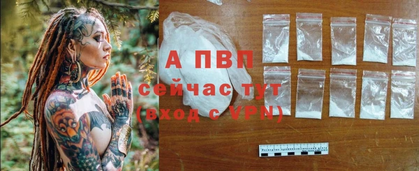 СК Козловка