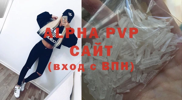СК Козловка
