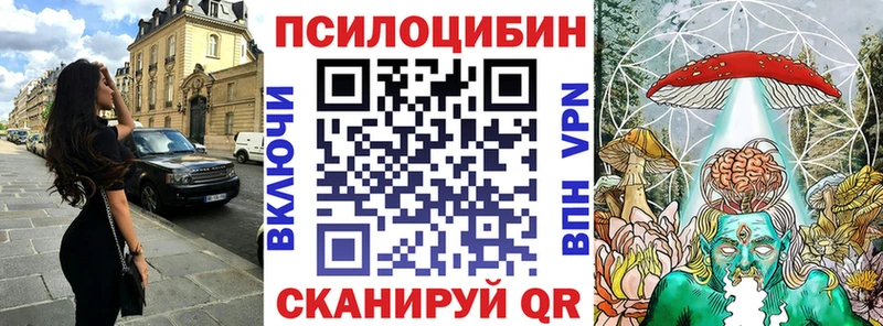 Купить закладки  Карабаш  Псилоцибиновые грибы Psilocybe 